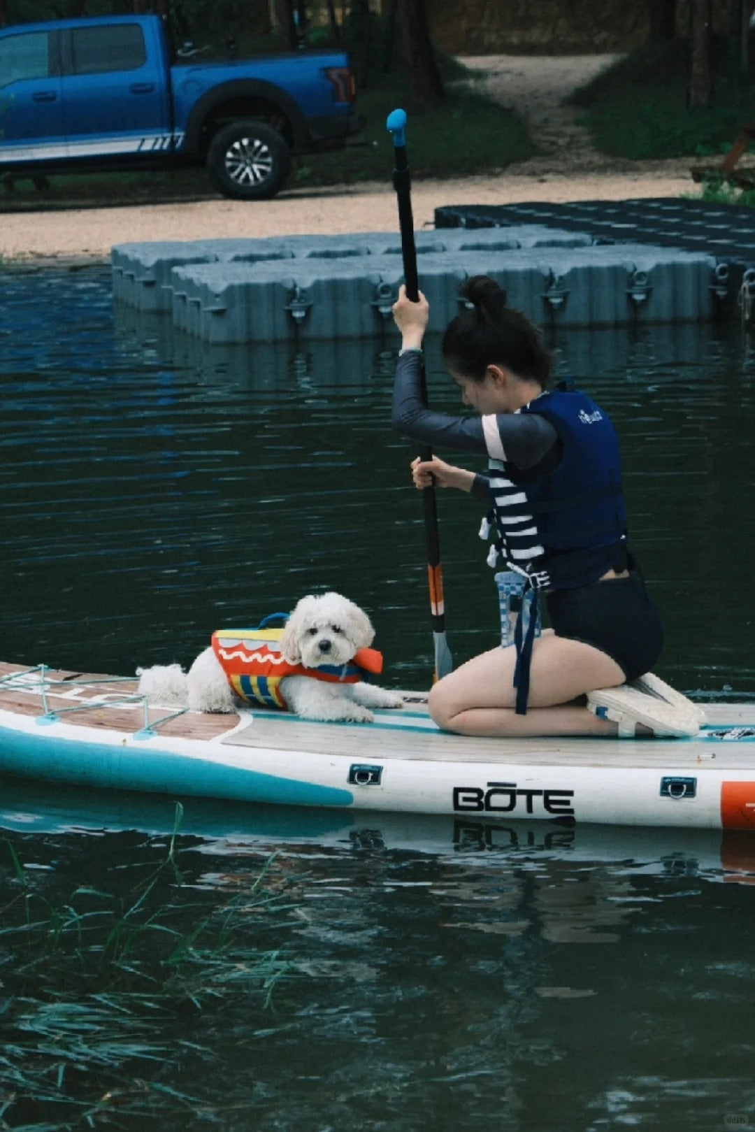 "Pet Life Jacket: A Must-Have for Protecting Pets on the Water"