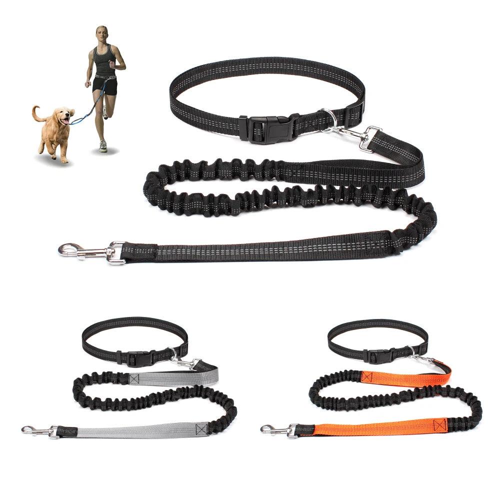 Petollo Hand Free Dog Leash for Pet Walking Running Jogging Adjustable Dog leash Waist Belt Chest Strap Traction Rope Dog Accessories - PETOLLO 