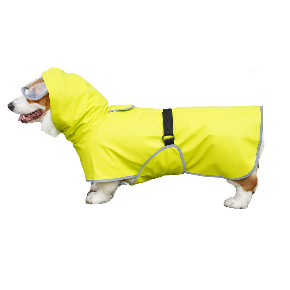 Petollo Small Medium Large Dog raincoat Rain Cloak Protect Belly Pet Raincoat 2.0